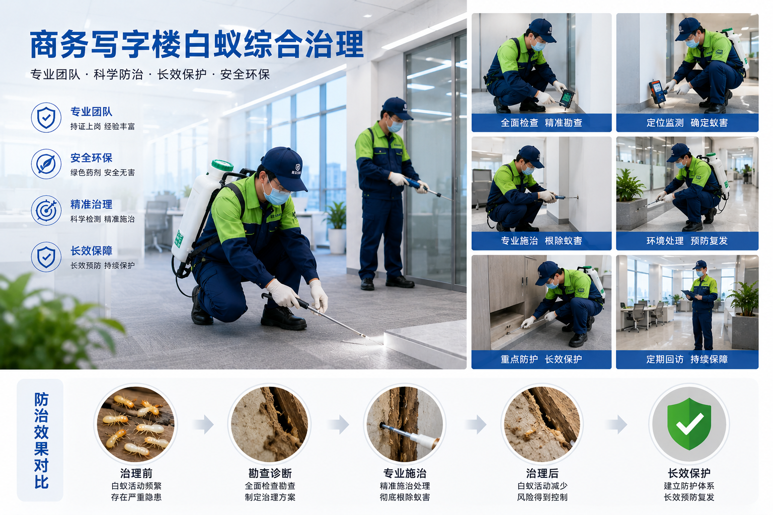 商务写字楼白蚁综合治理方案