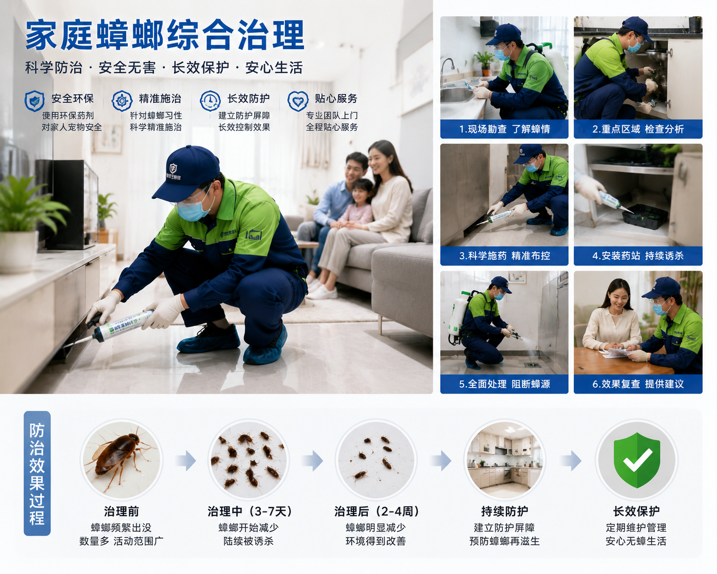 家庭蟑螂综合治理